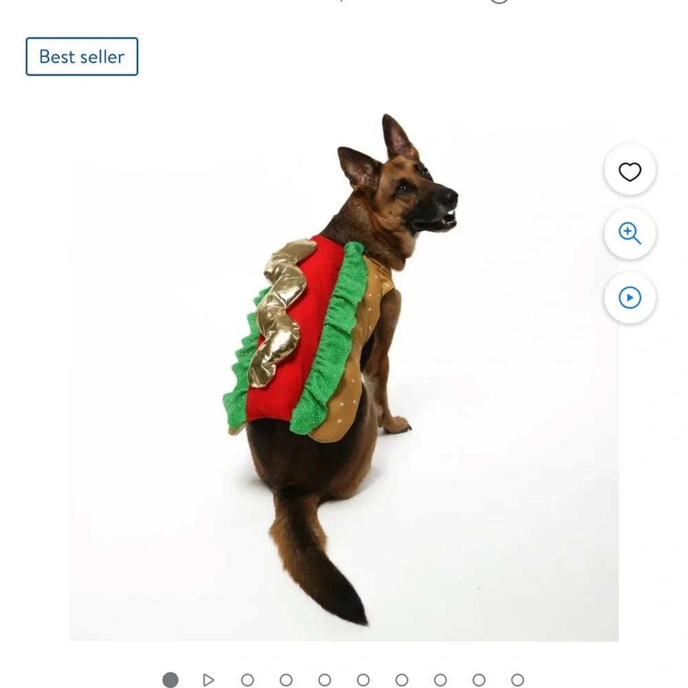 CL hotdog costume for dogs